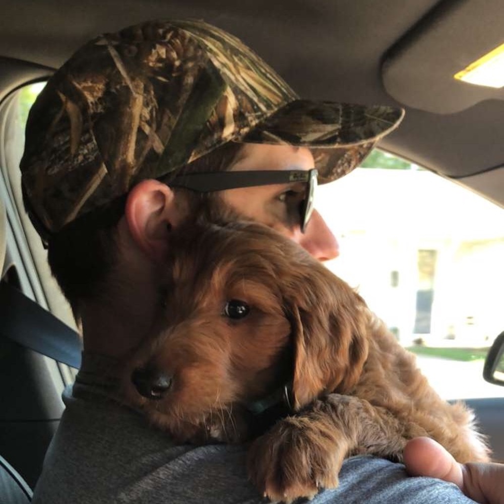 Meet your Posher, Tanner